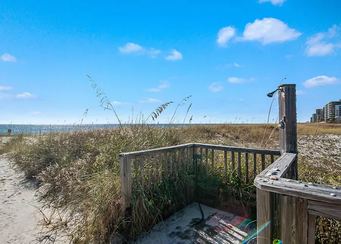 Needle Rush Point Unit C15 * Pensacola